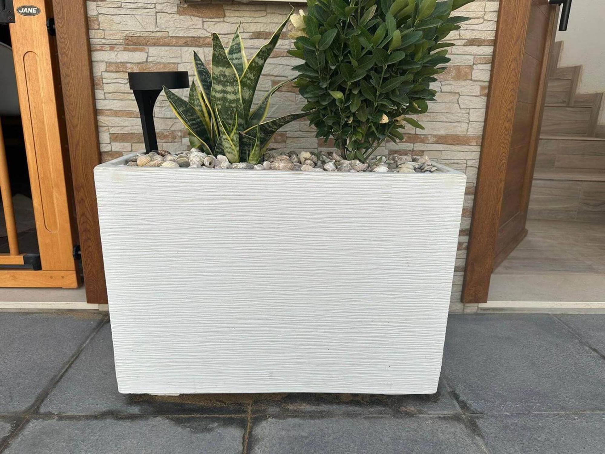 La Graciosita Traditional Home Caleta de Sebo Ngoại thất bức ảnh